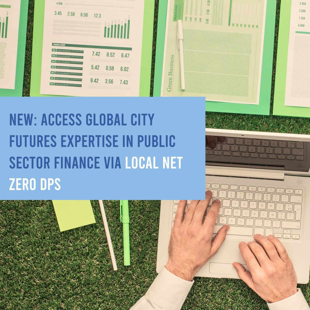 Access expertise in public sector finance via Local Net Zero DPS